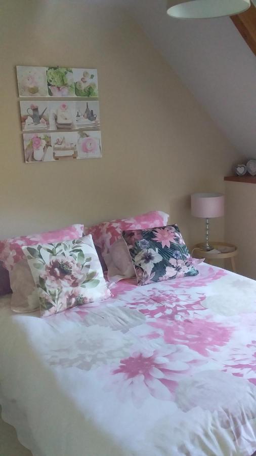 Chambre De Rose - Le Refuge Des Parachutistes - En Bordure Du Marais Neuville-au-Plain ภายนอก รูปภาพ