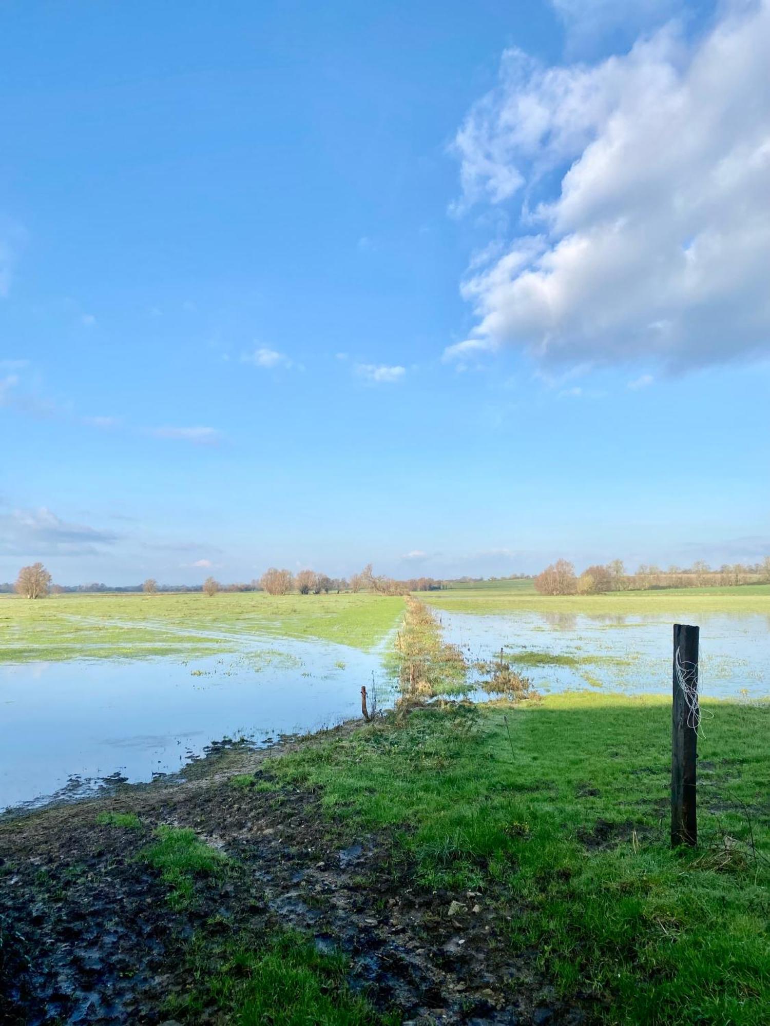 Chambre De Rose - Le Refuge Des Parachutistes - En Bordure Du Marais Neuville-au-Plain ภายนอก รูปภาพ
